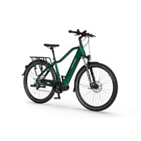 Rower elektryczny Ecobike MX 300 Green